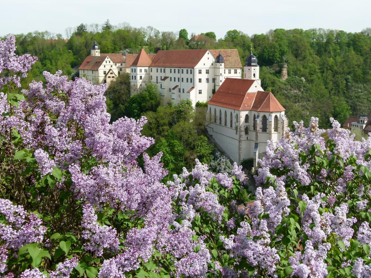 Schloss Haigerloch Zewnętrze zdjęcie